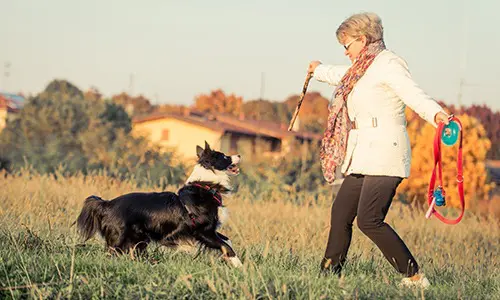 Client Testimonial: Transfer Factor Ultra and Glutrasol keep me going and staying healthy.
