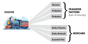 Transfer Factor Ultra is the train of immunity.